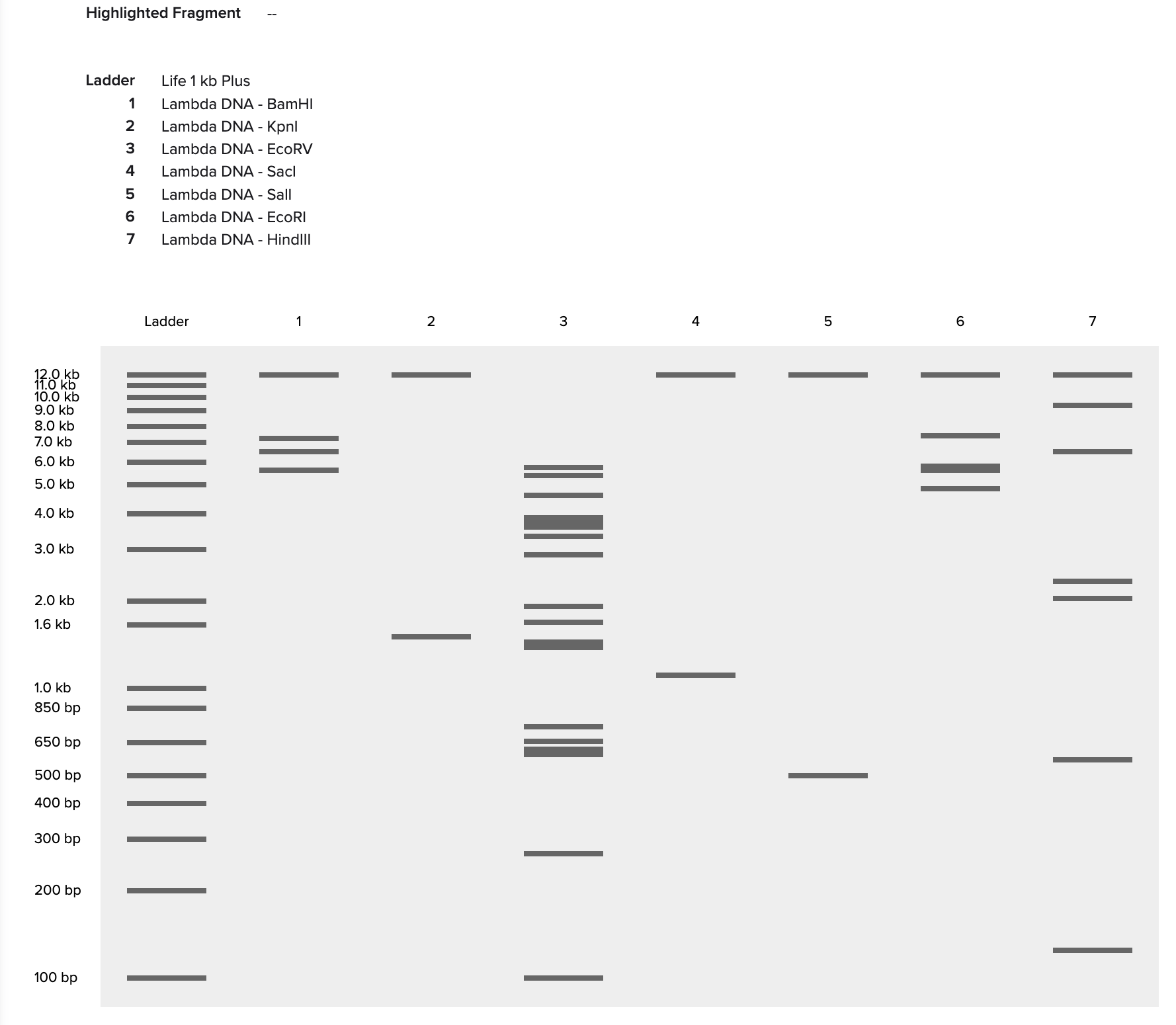 Lambda DNA simulation of each restriction enzyme digestion