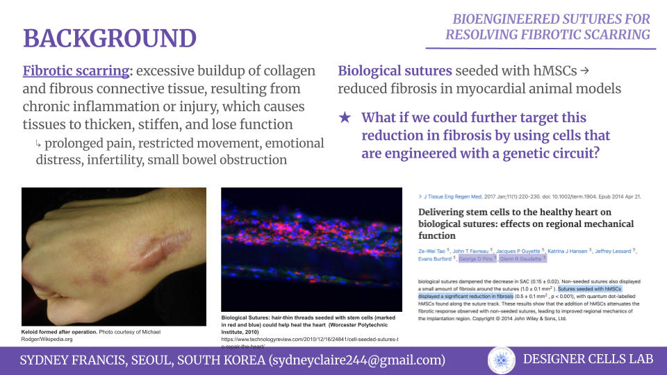 Slide 1