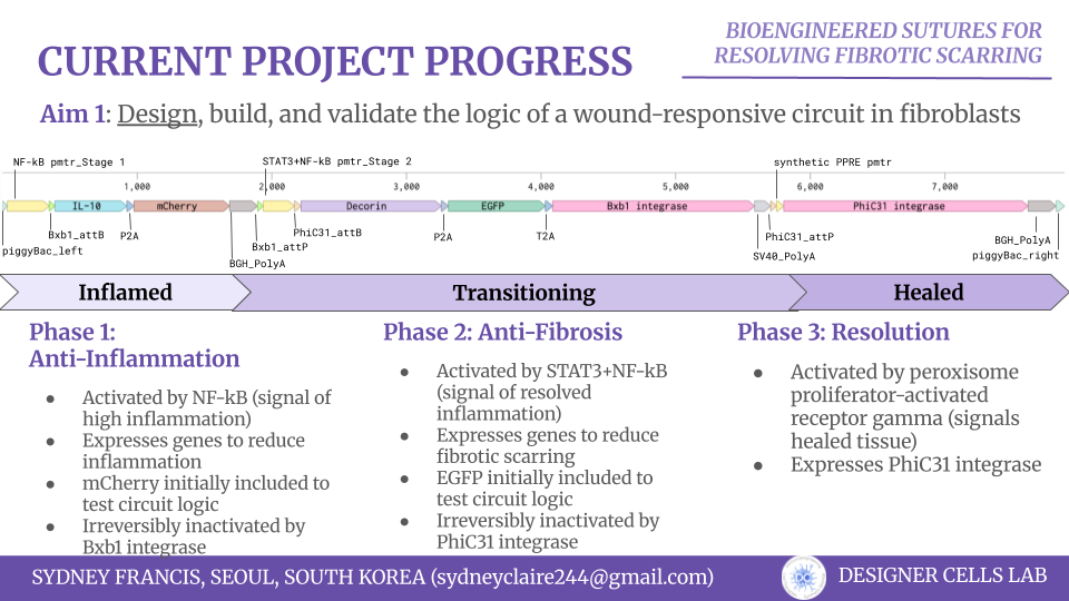Slide 2