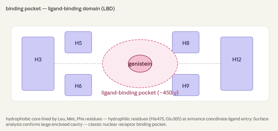 Binding Pocket Ligand