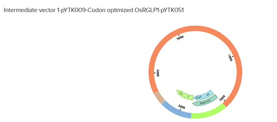 Combinatorial Assembly