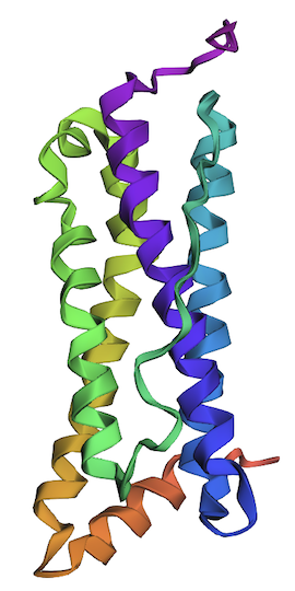 Fig_15A.