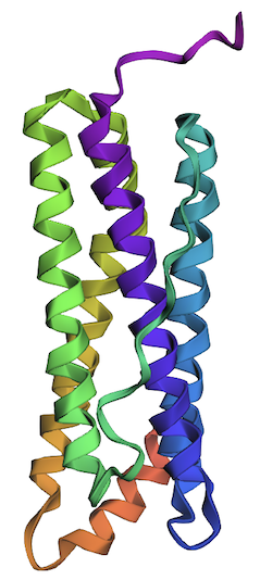 Fig_17.