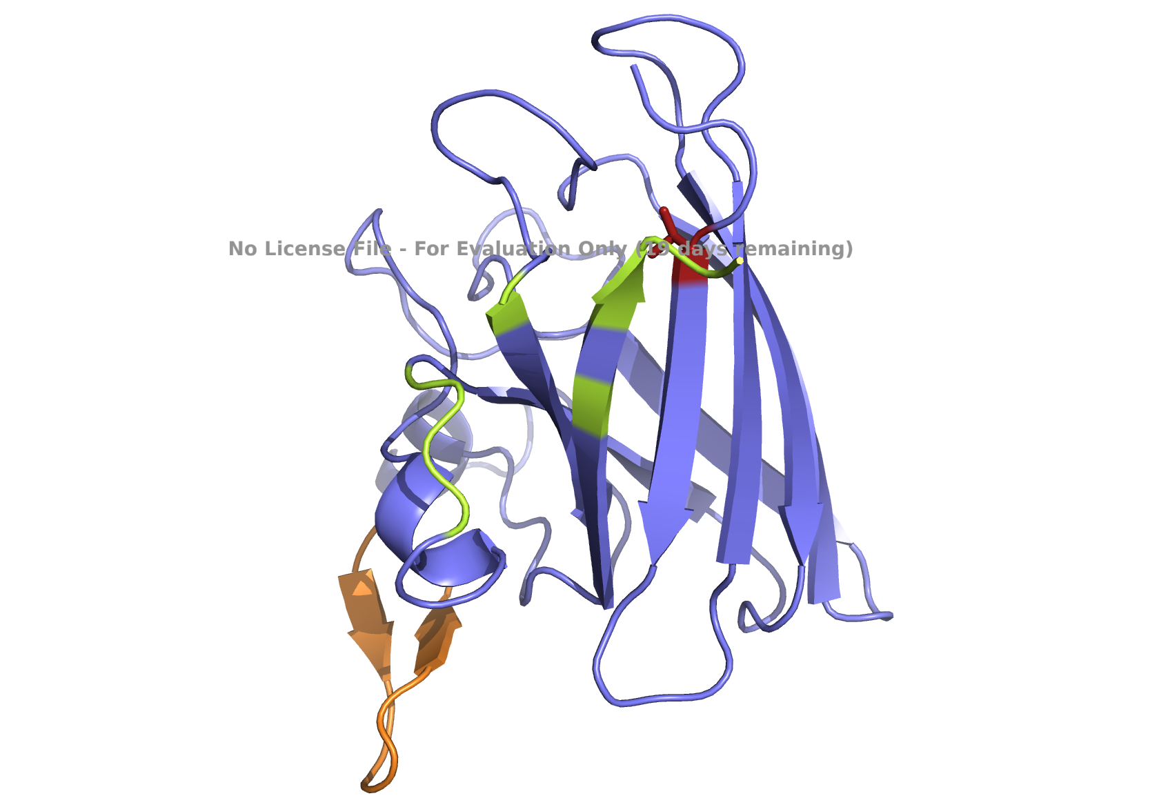 Fig1C
