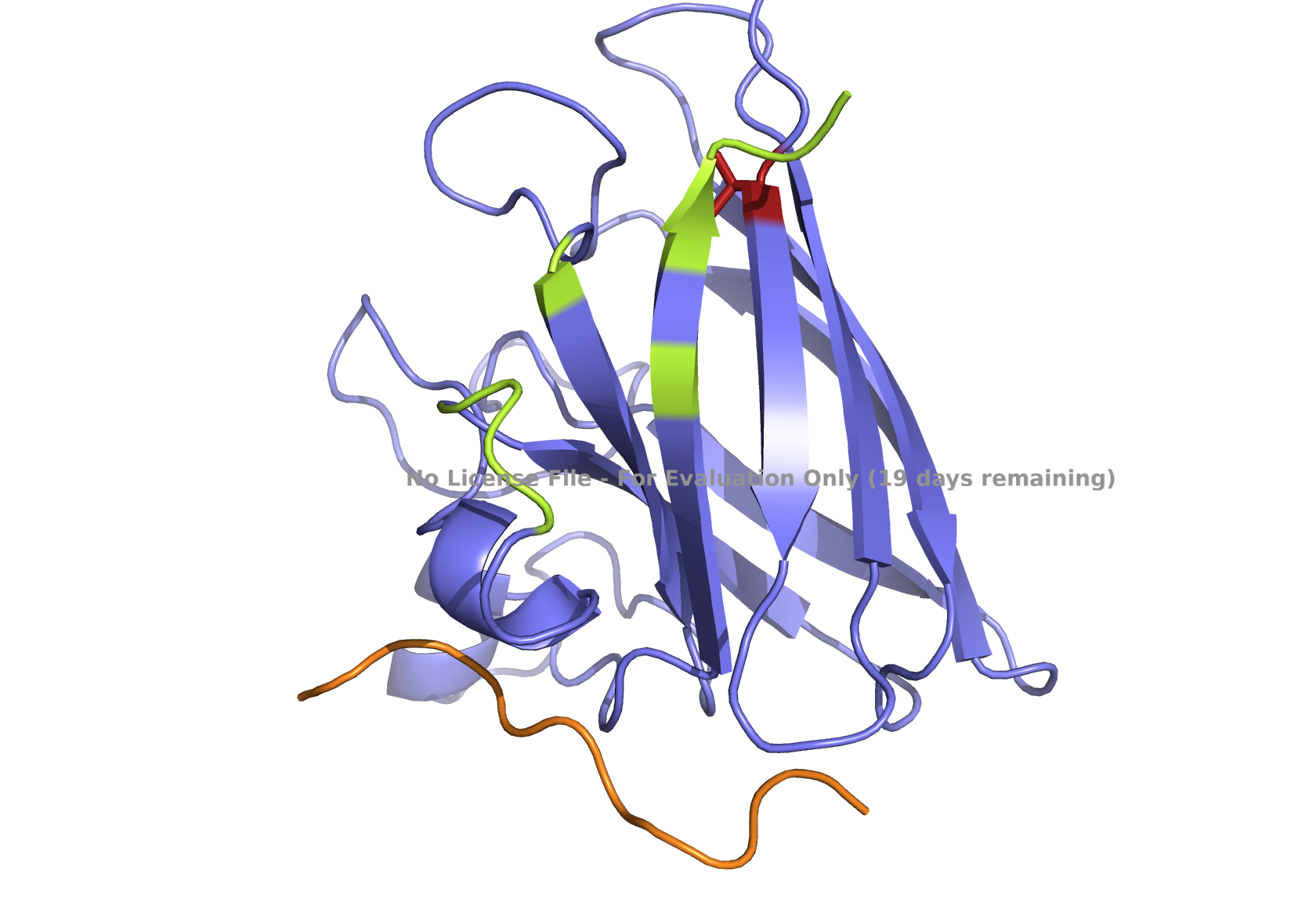 Fig1E
