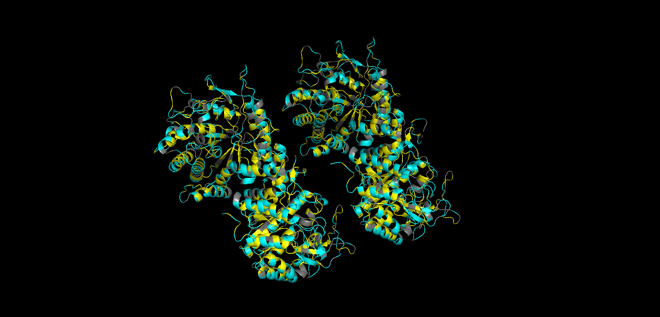 pymol