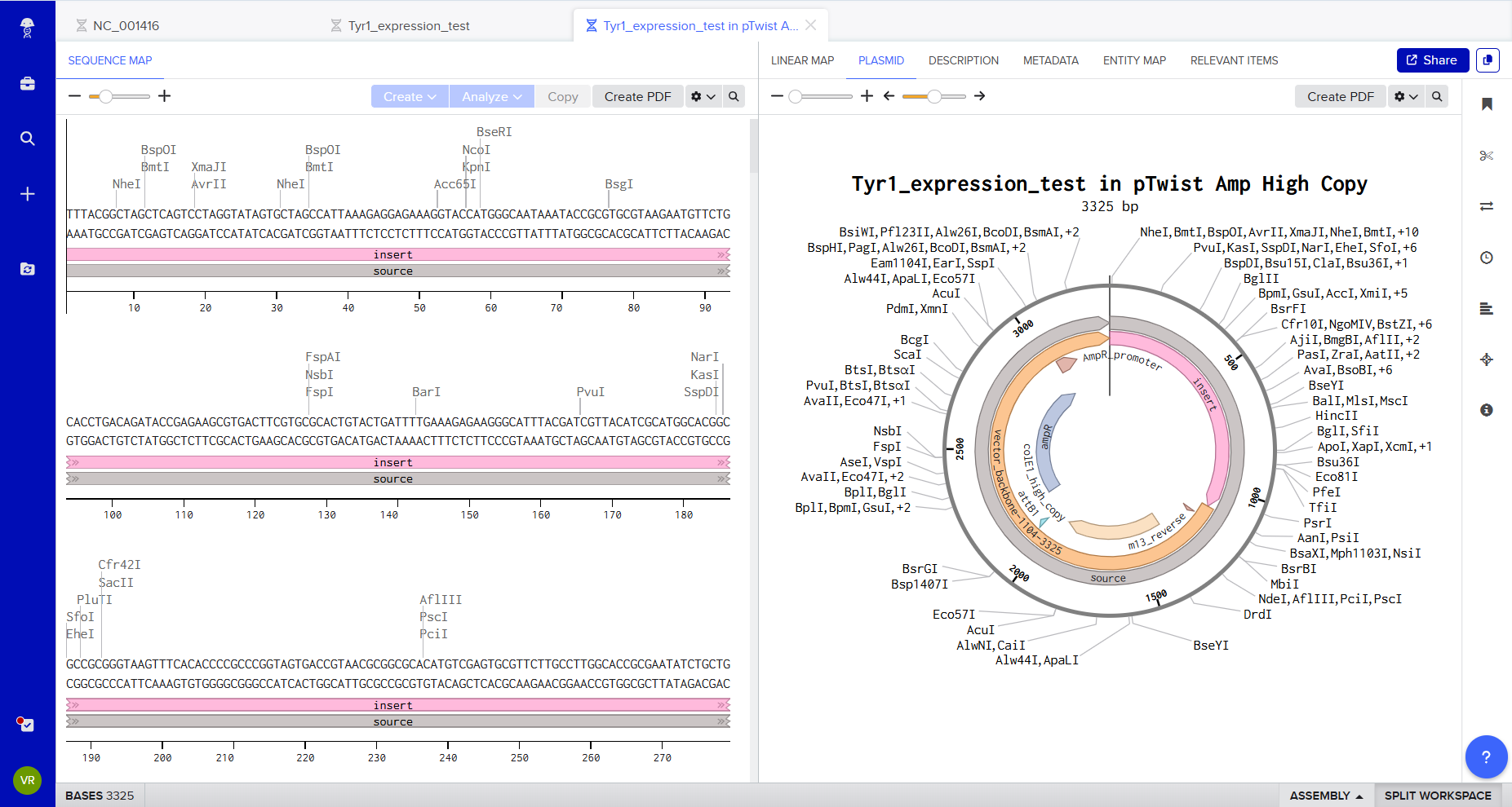Twist plasmid preview