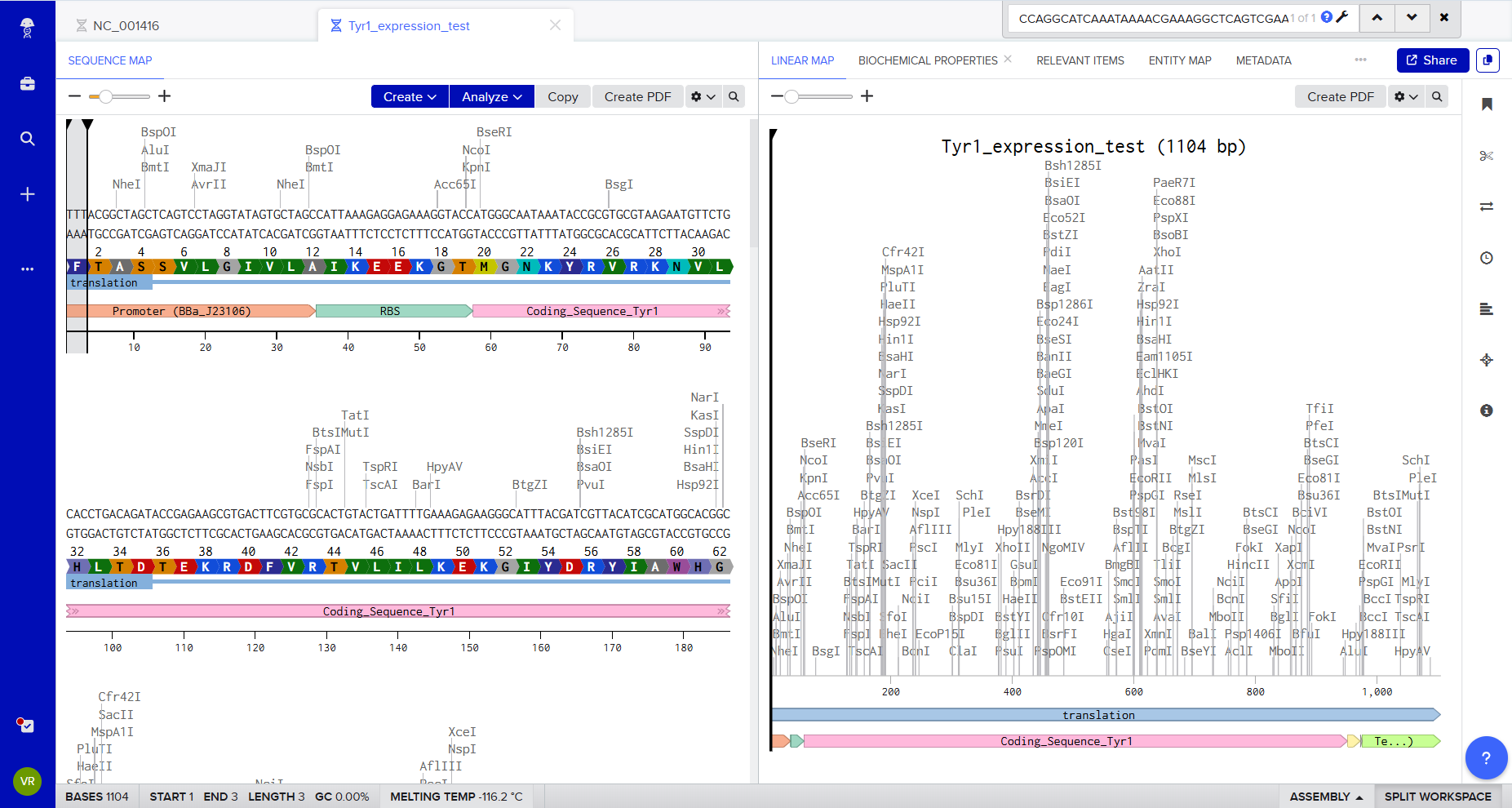 Benchling translation view