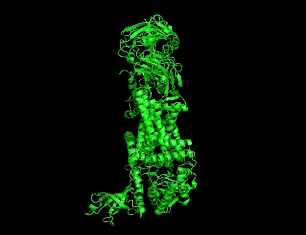 ProteinCartoon