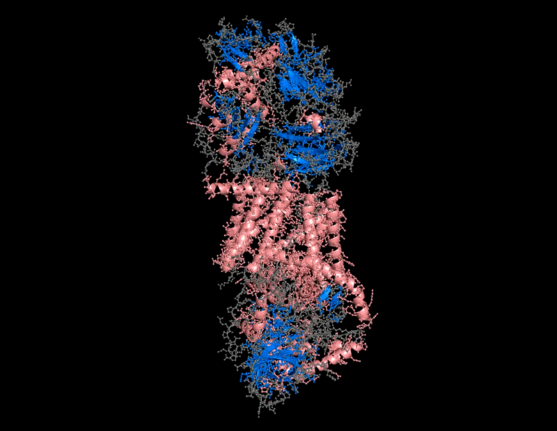ProteinSecondaryStructure