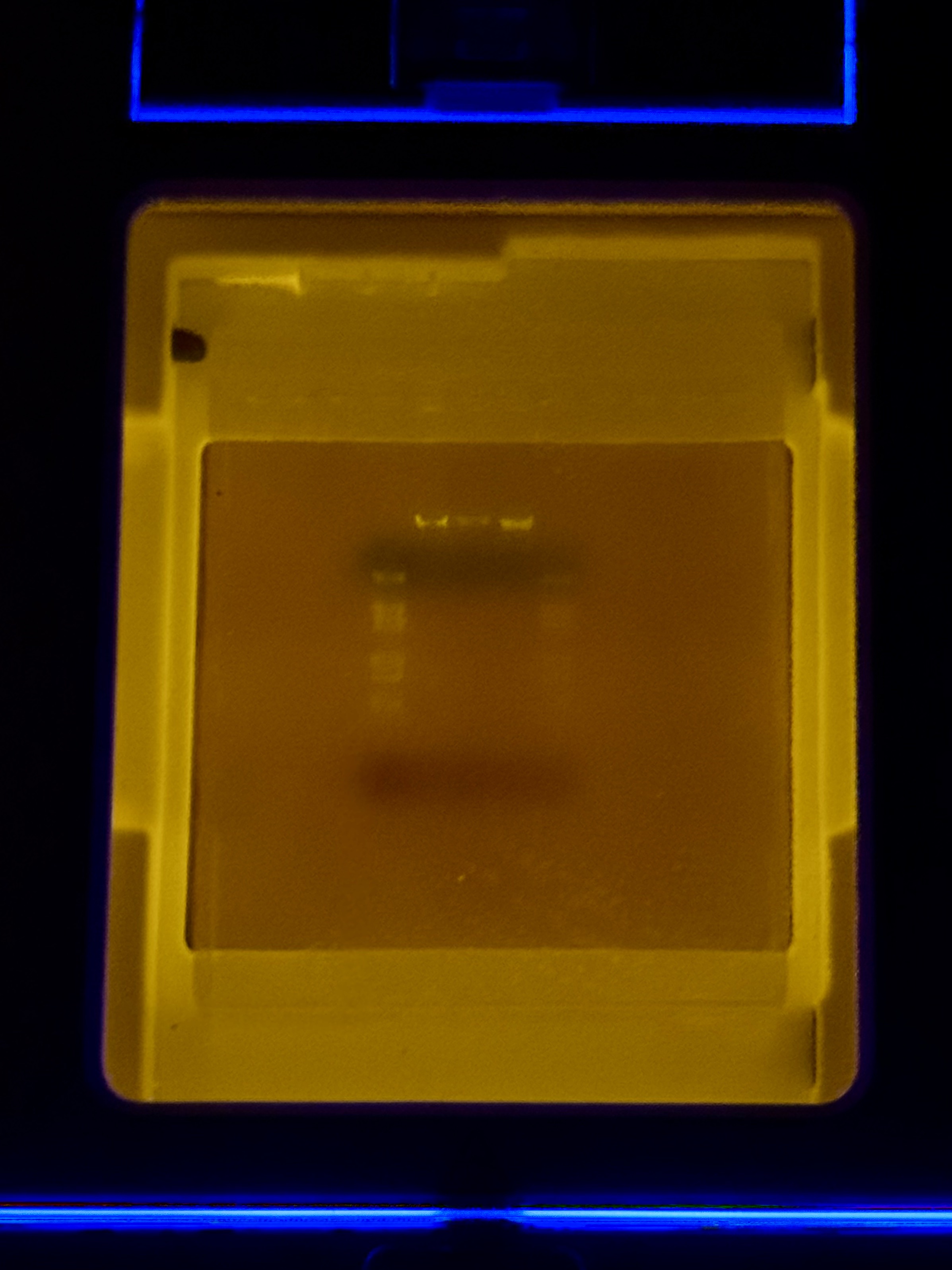 Final Gel Image 03