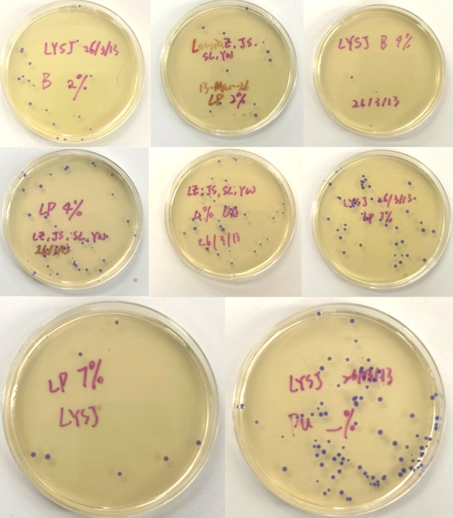Plate Colony Result