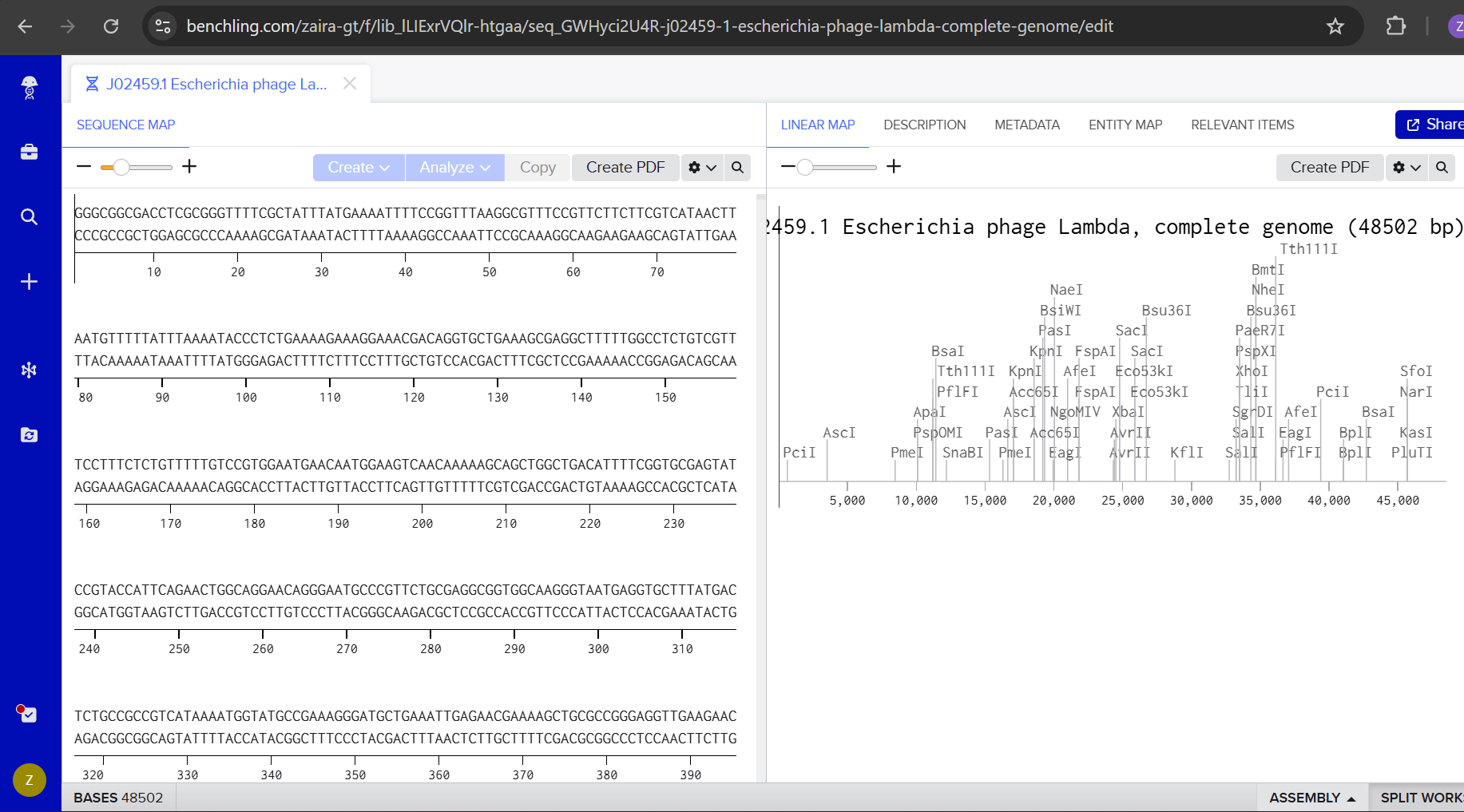 Simulate Restriction Enzymes