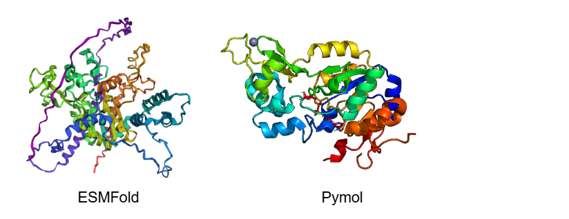ESMFold vs Pymol