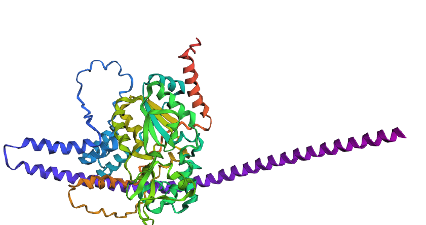 Pymol