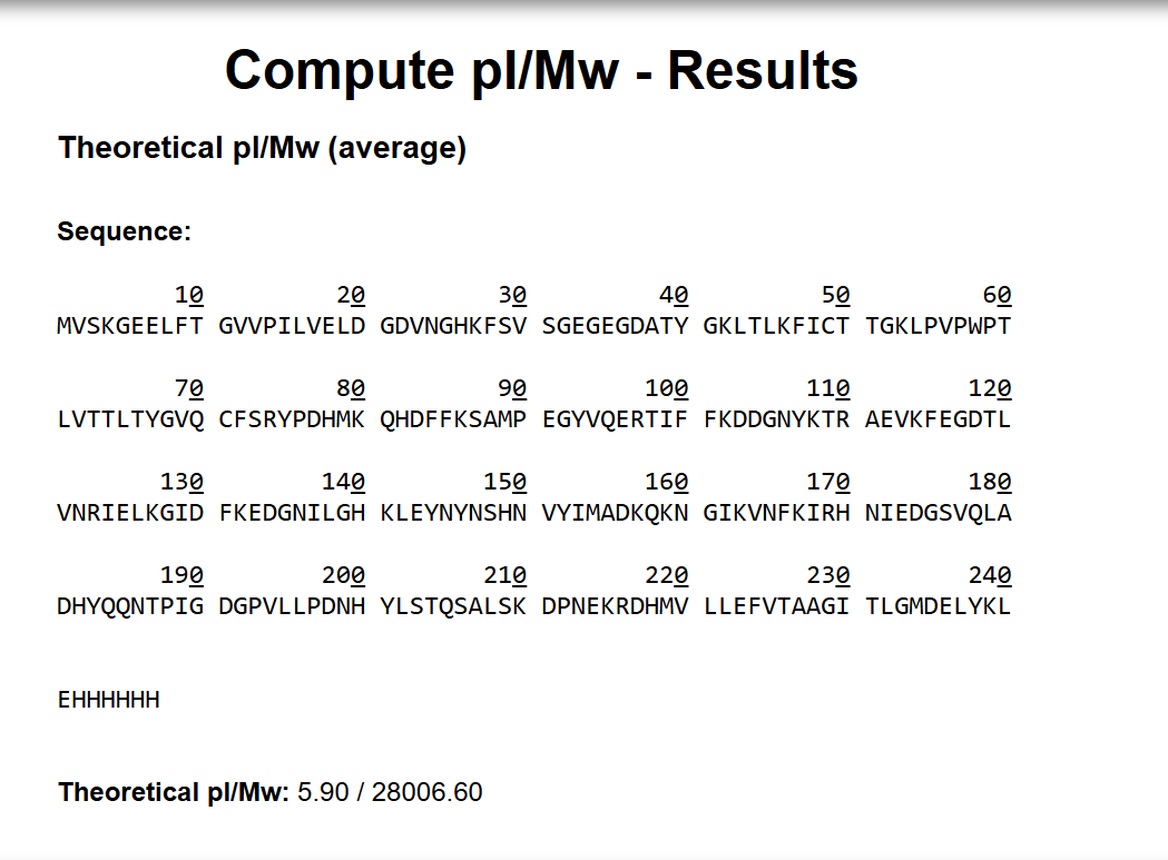 eGFP sequence