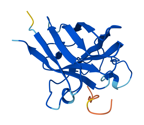 HRYPVVAVAWKE image