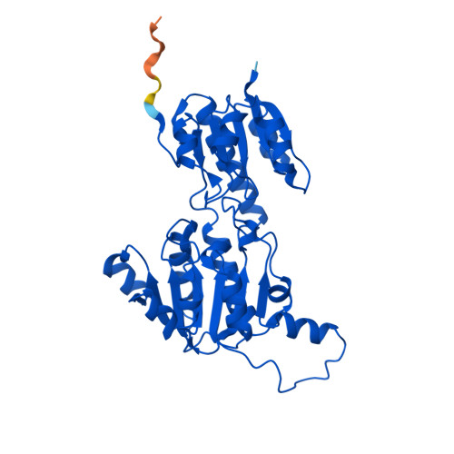 AlphaFold predicted structure of ptxD (O69054)