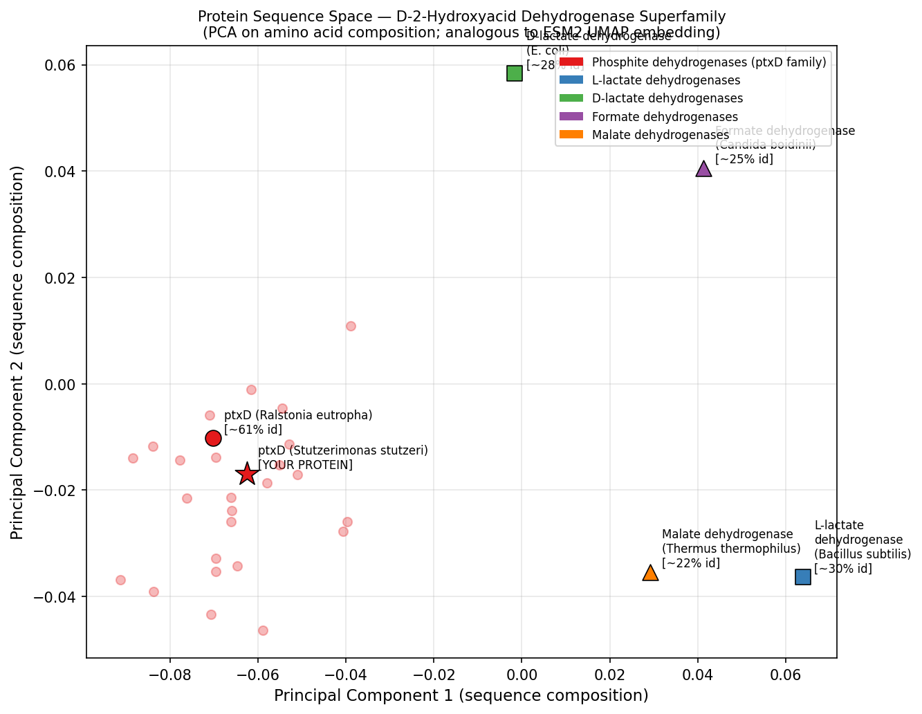 Protein sequence space PCA — D-2-hydroxyacid dehydrogenase superfamily