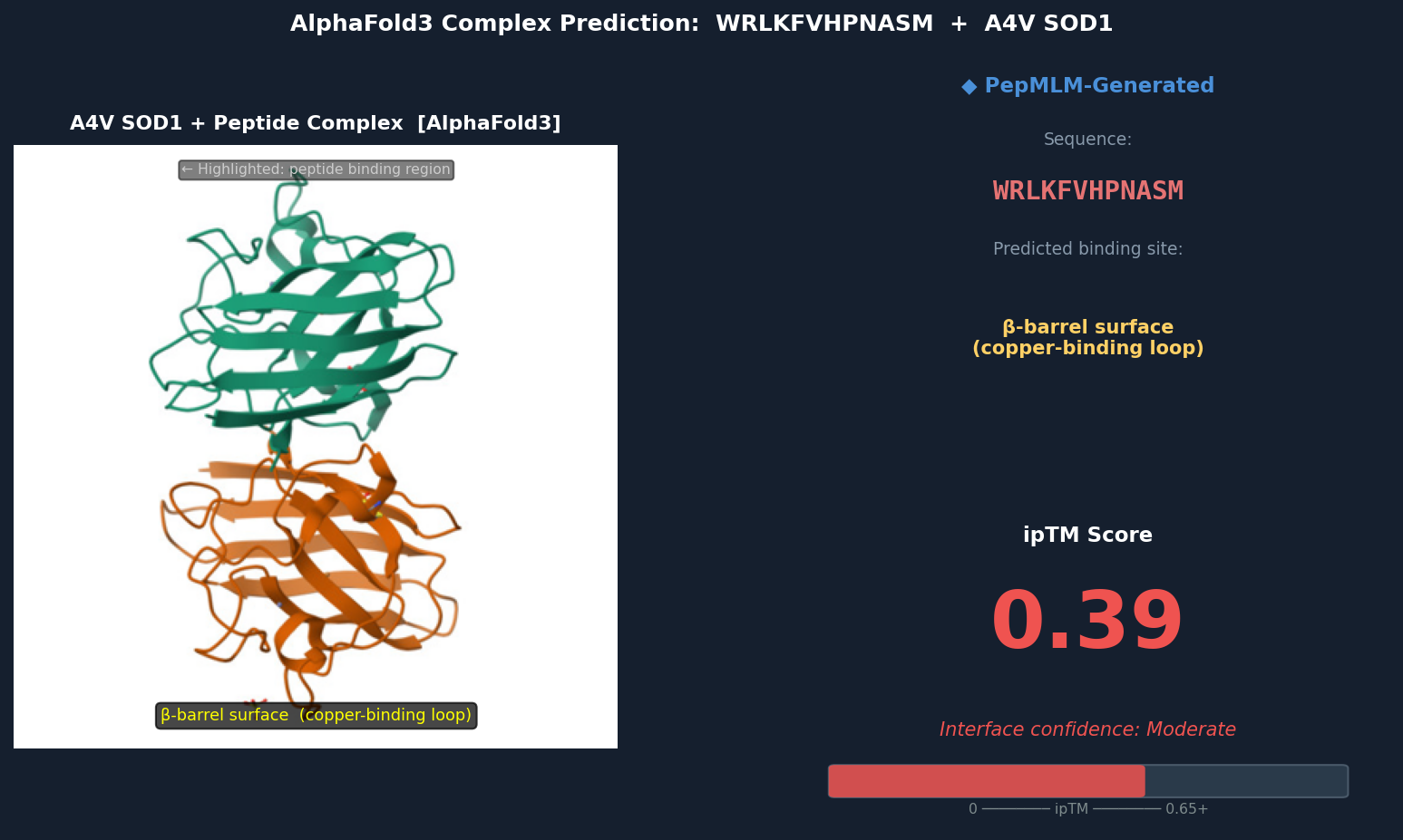 AlphaFold3 — WRLKFVHPNASM bound to A4V SOD1