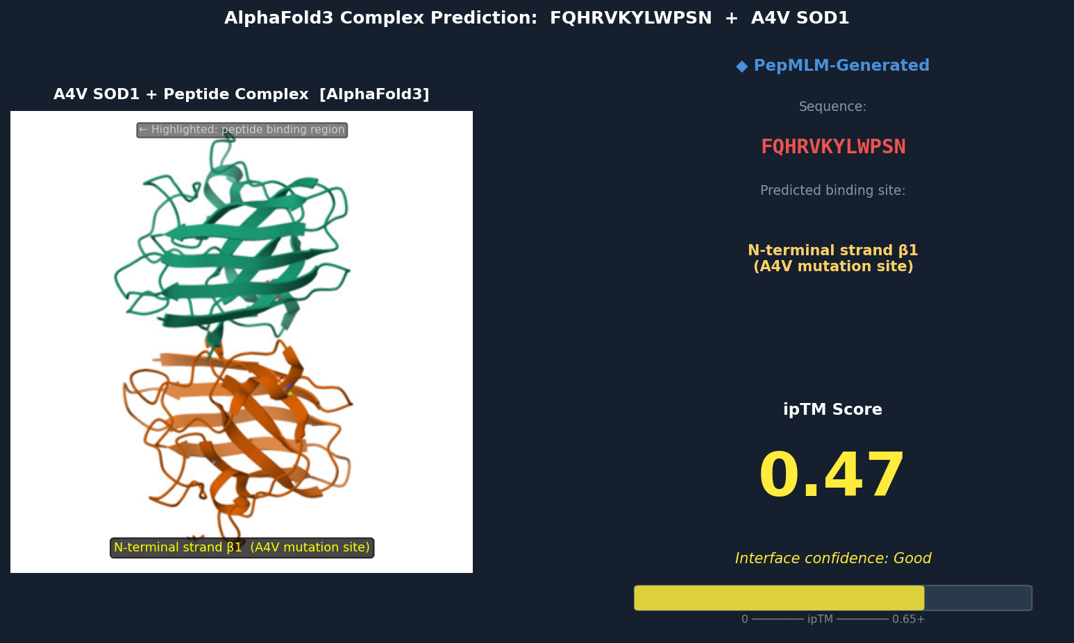 AlphaFold3 — FQHRVKYLWPSN bound to A4V SOD1