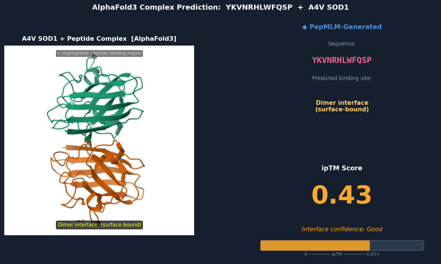 AlphaFold3 — YKVNRHLWFQSP bound to A4V SOD1