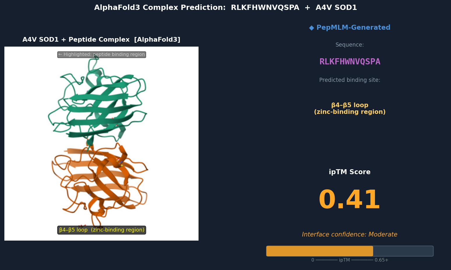 AlphaFold3 — RLKFHWNVQSPA bound to A4V SOD1
