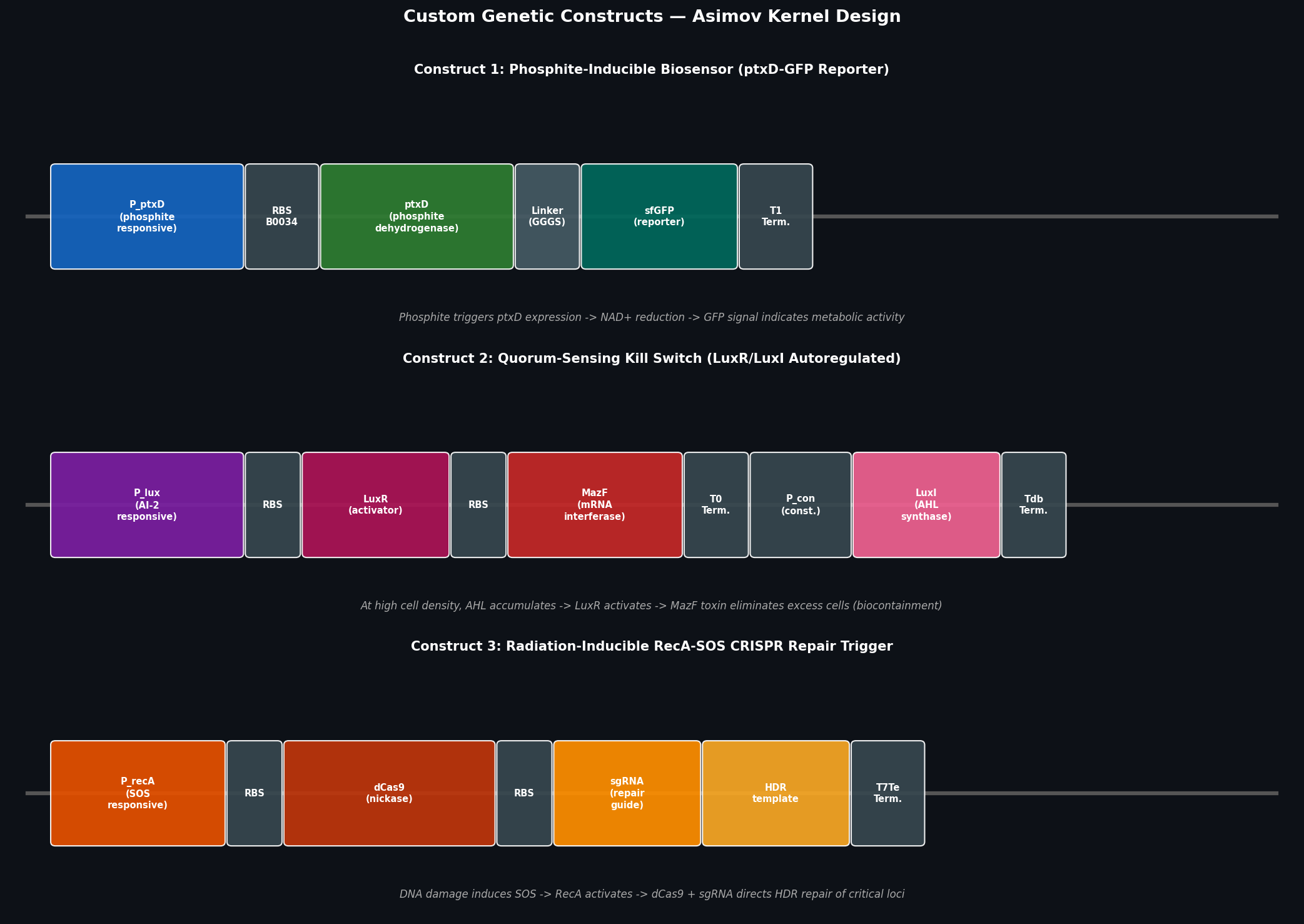 Custom Genetic Constructs — Asimov Kernel Design