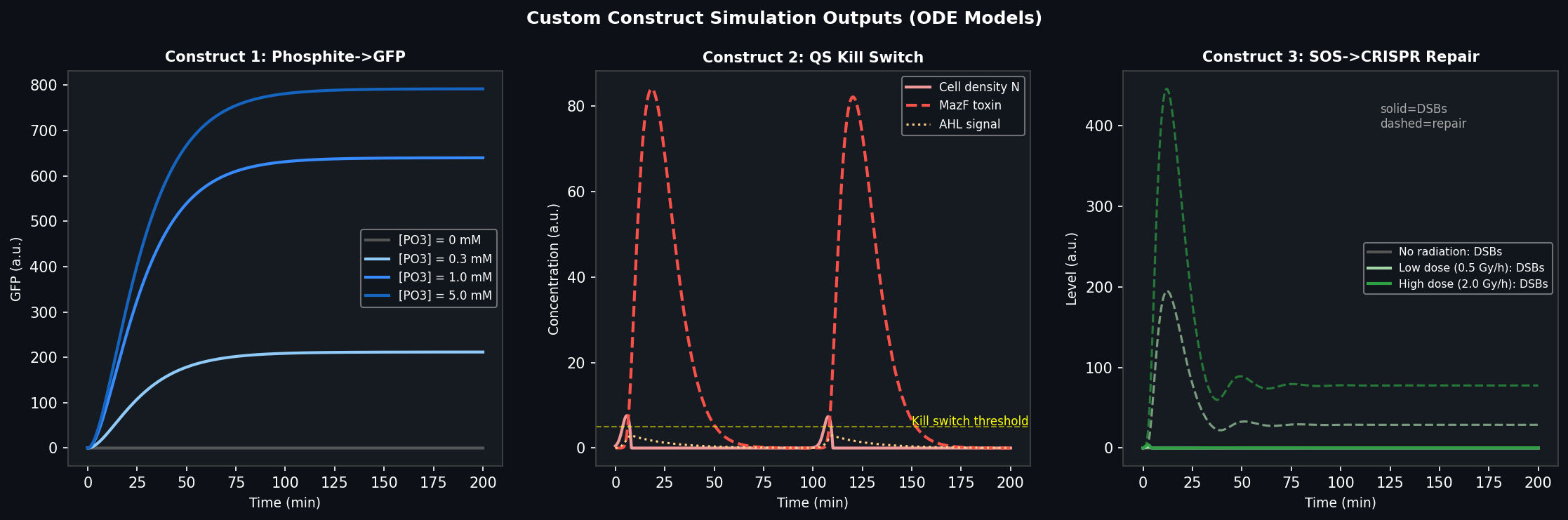 Custom Construct Simulation Outputs