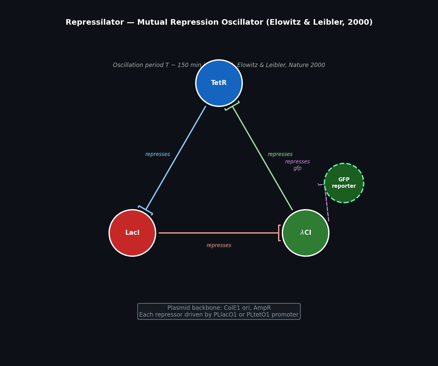 Repressilator Mutual Repression Circuit Diagram