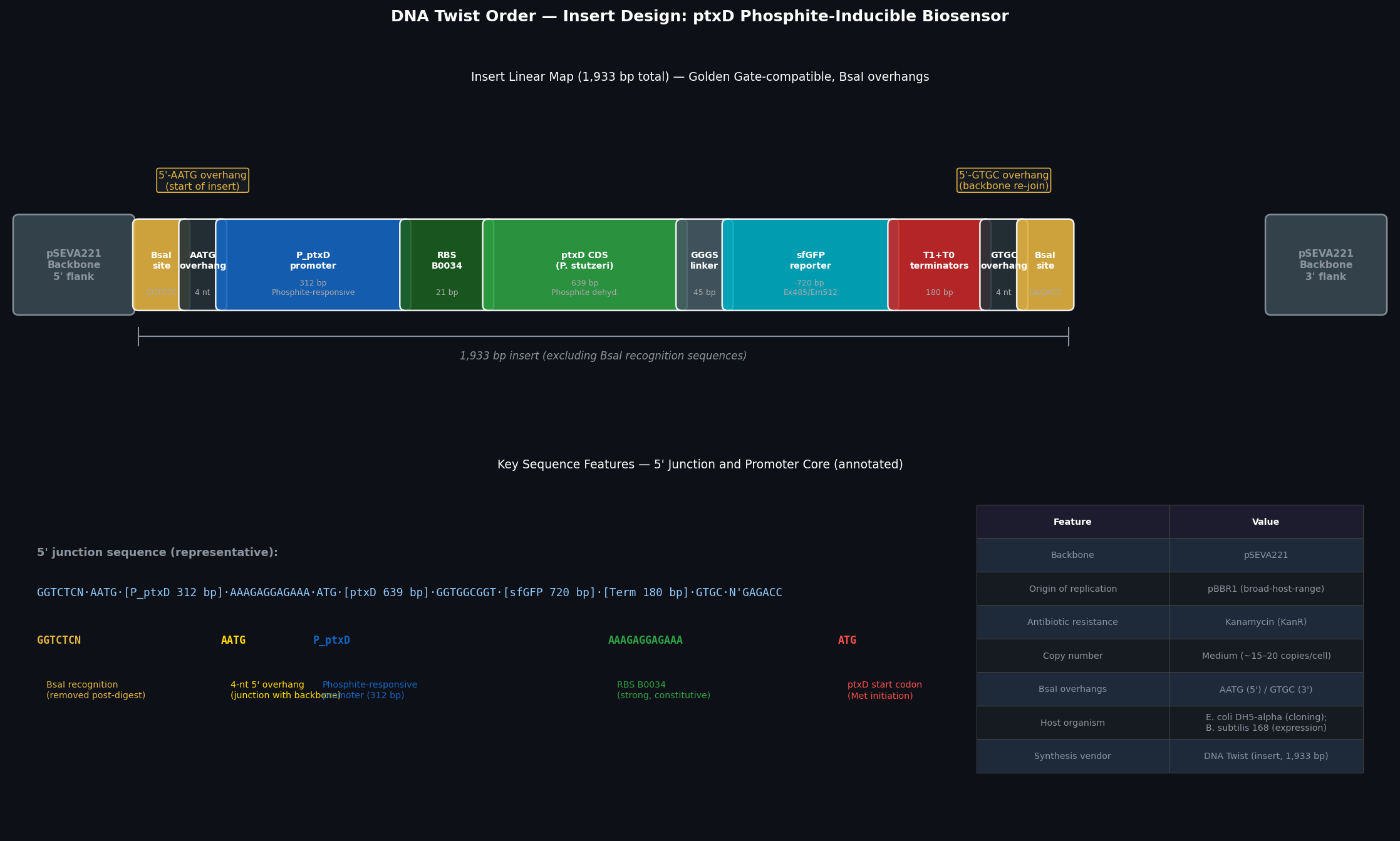 DNA Twist Order — Insert Design and Plasmid Map