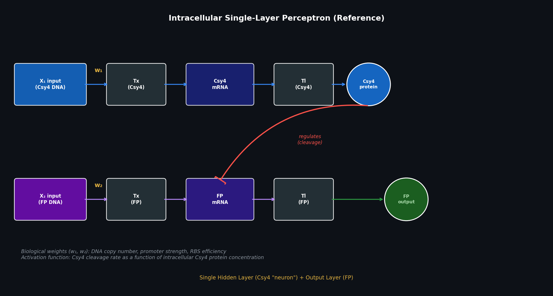 Intracellular Single-Layer Perceptron — Reference Diagram