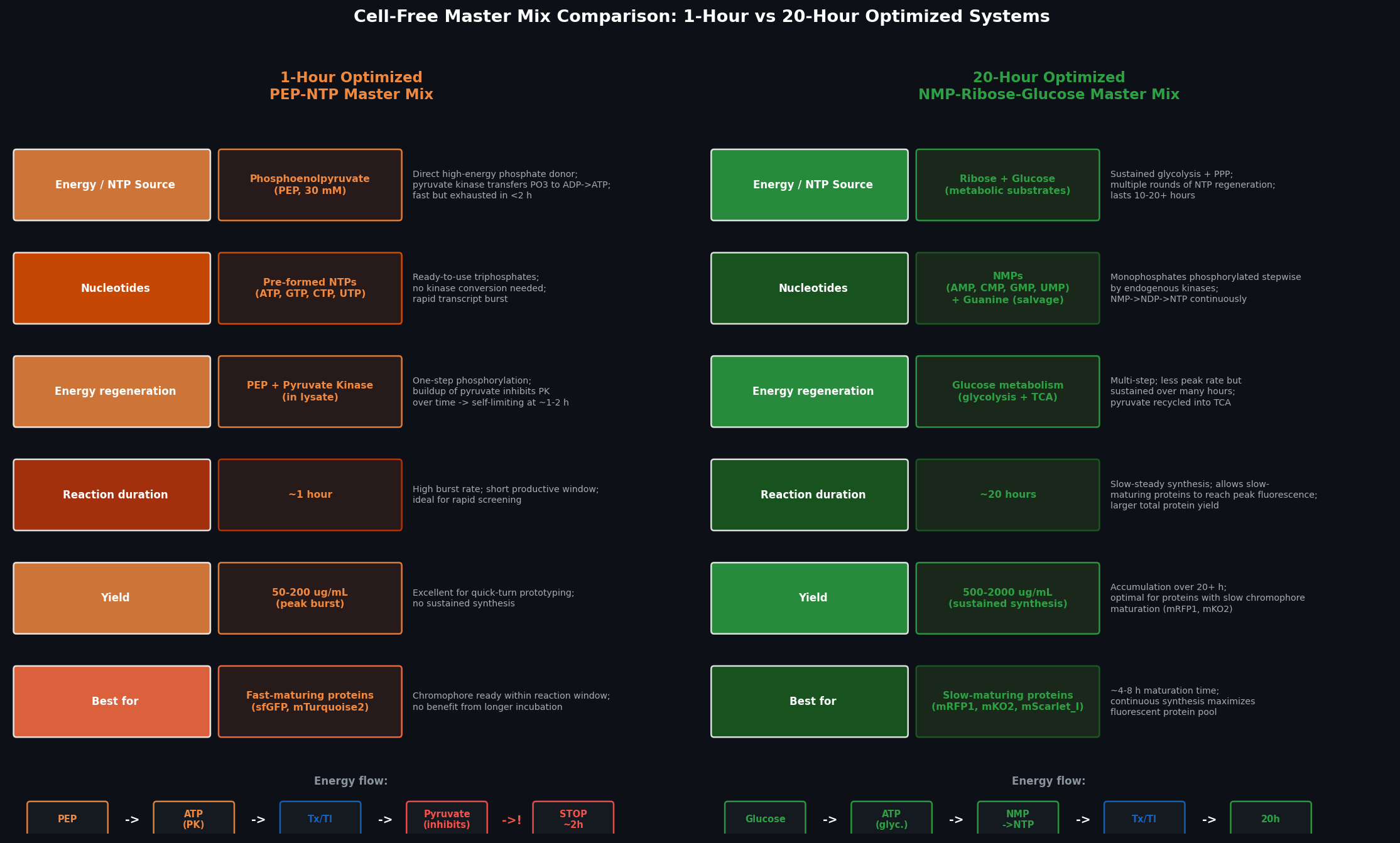 Cell-Free Master Mix Comparison: 1-Hour vs 20-Hour Systems