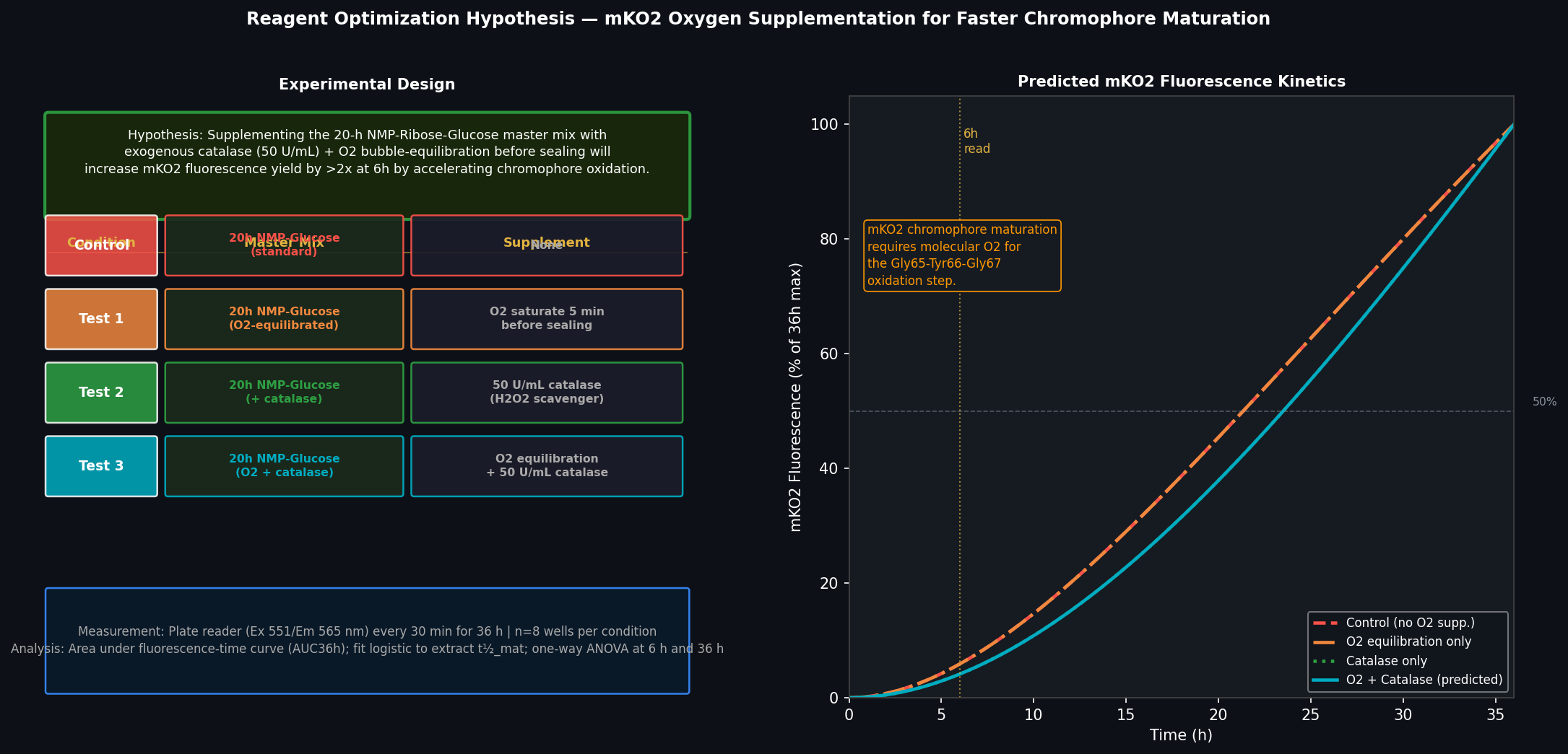 Reagent Optimization Hypothesis — mKO2 O2 Supplementation
