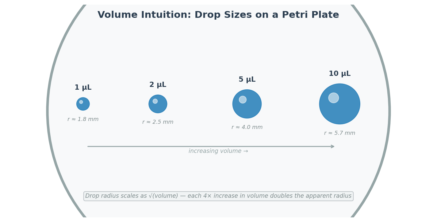 Top-down view of petri plate showing relative sizes of 1, 2, 5, and 10 µL drops