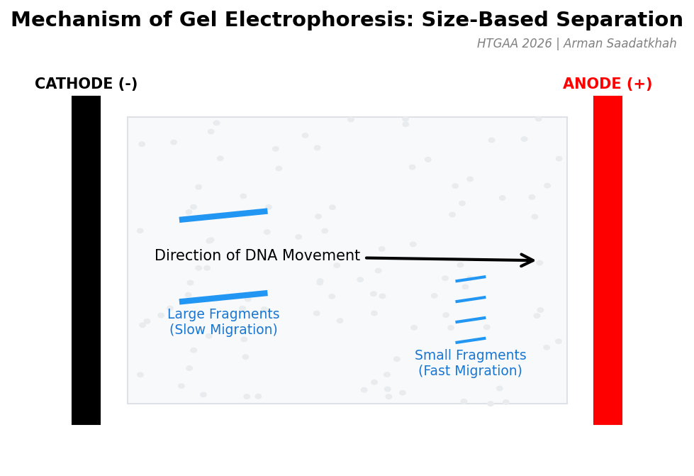 Gel Electrophoresis Mechanism