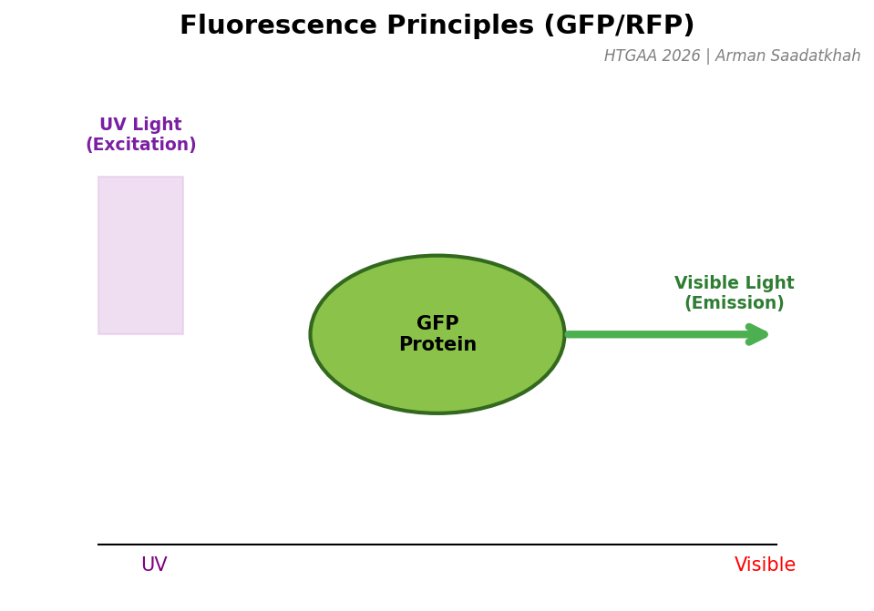 Fluorescence Principles
