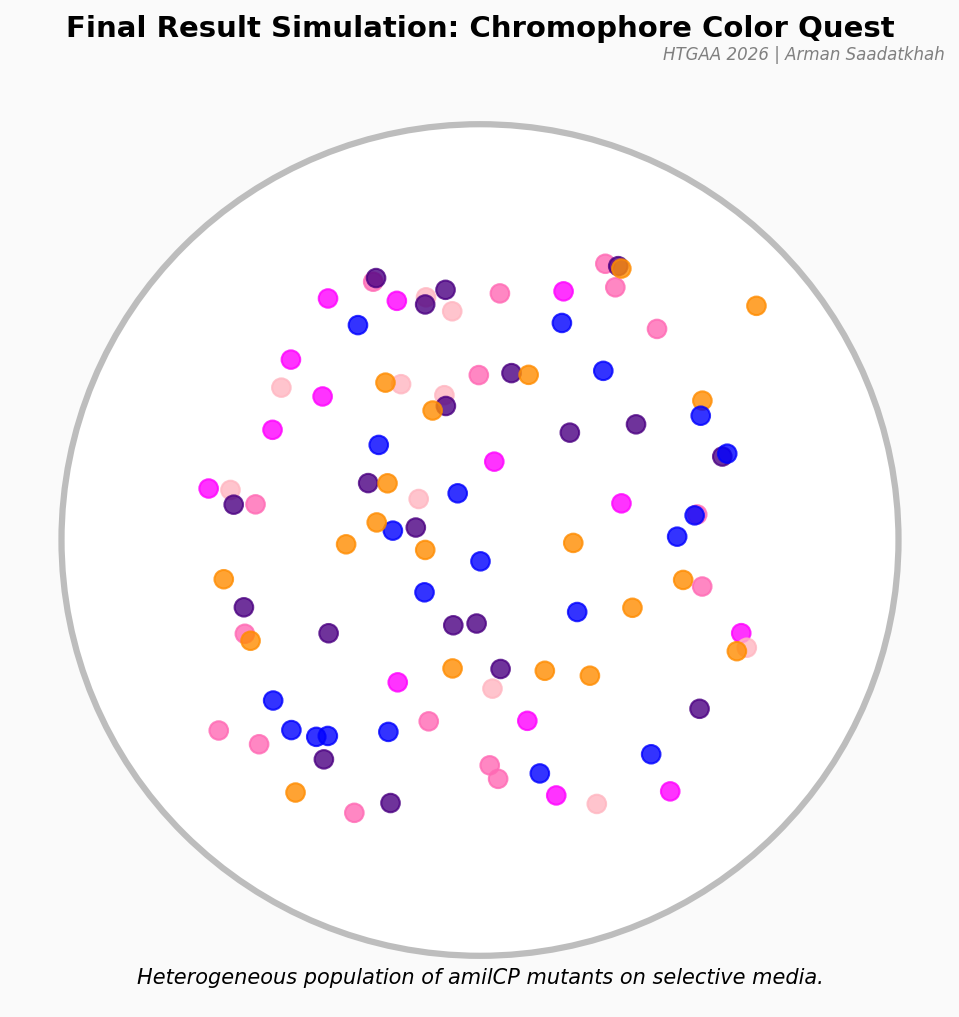 Final Colonies Simulation