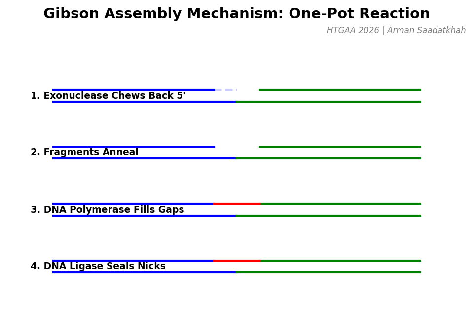 Gibson Assembly Mechanism
