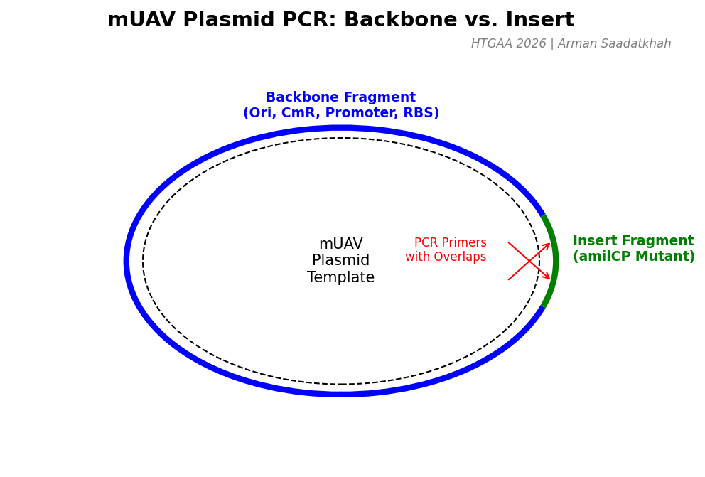 mUAV PCR Strategy