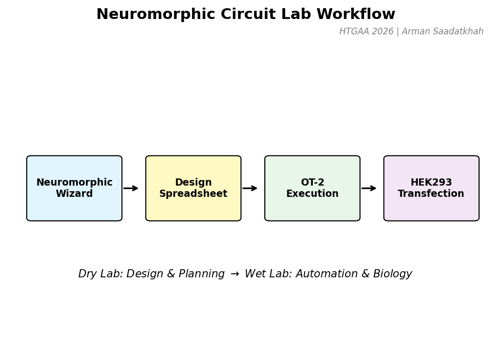 Neuromorphic Lab Workflow