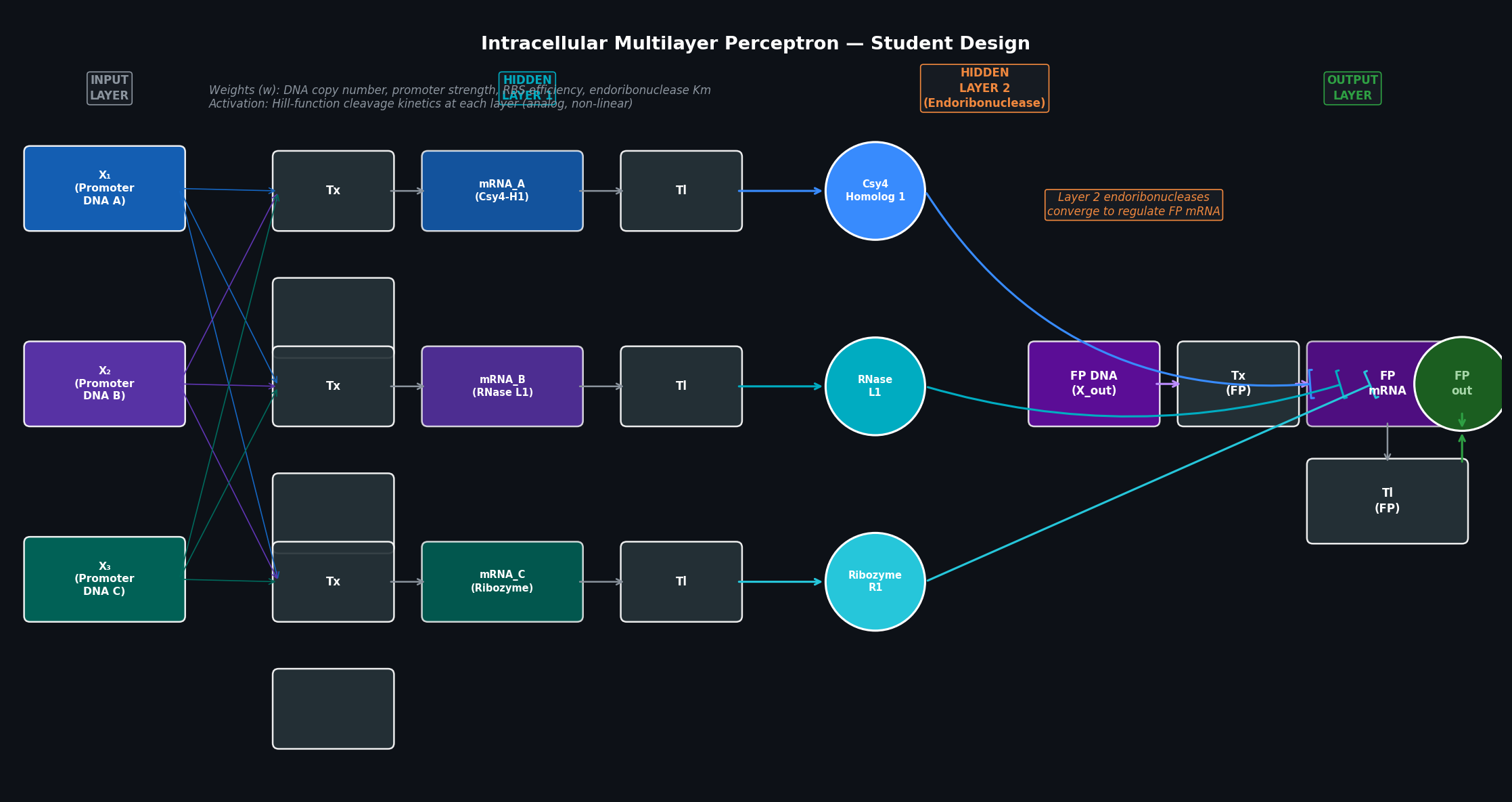 Multilayer IANN Diagram