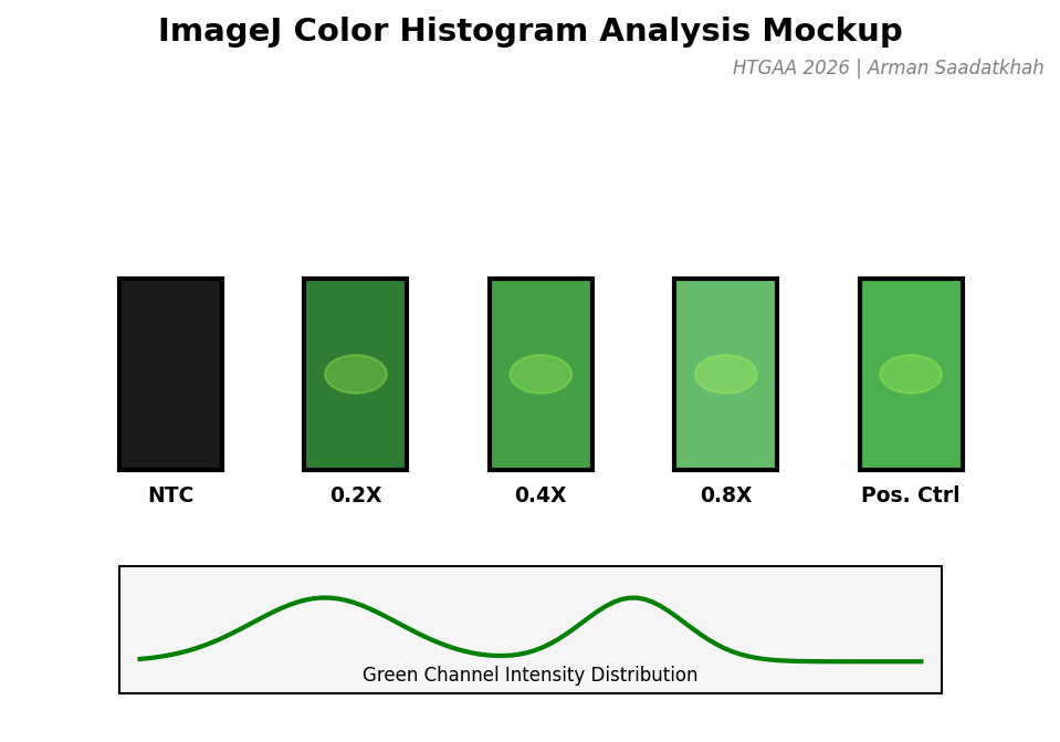 ImageJ Analysis Mockup