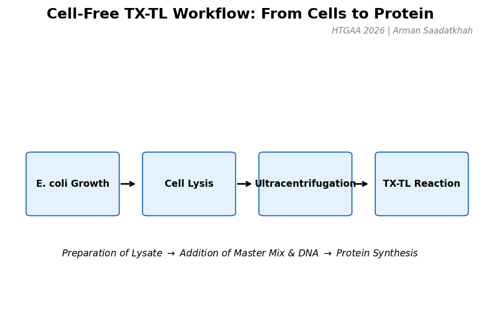 TX-TL Workflow