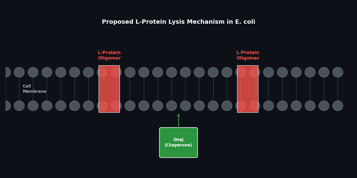 Lysis Mechanism