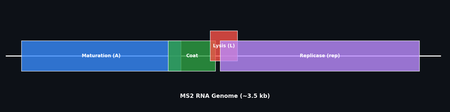 MS2 Genetic Map