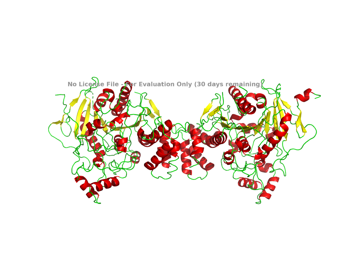 Secondary-structure view of NLGN4X