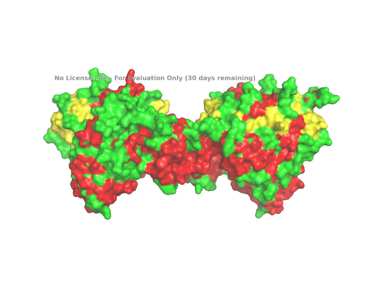 Surface view of NLGN4X