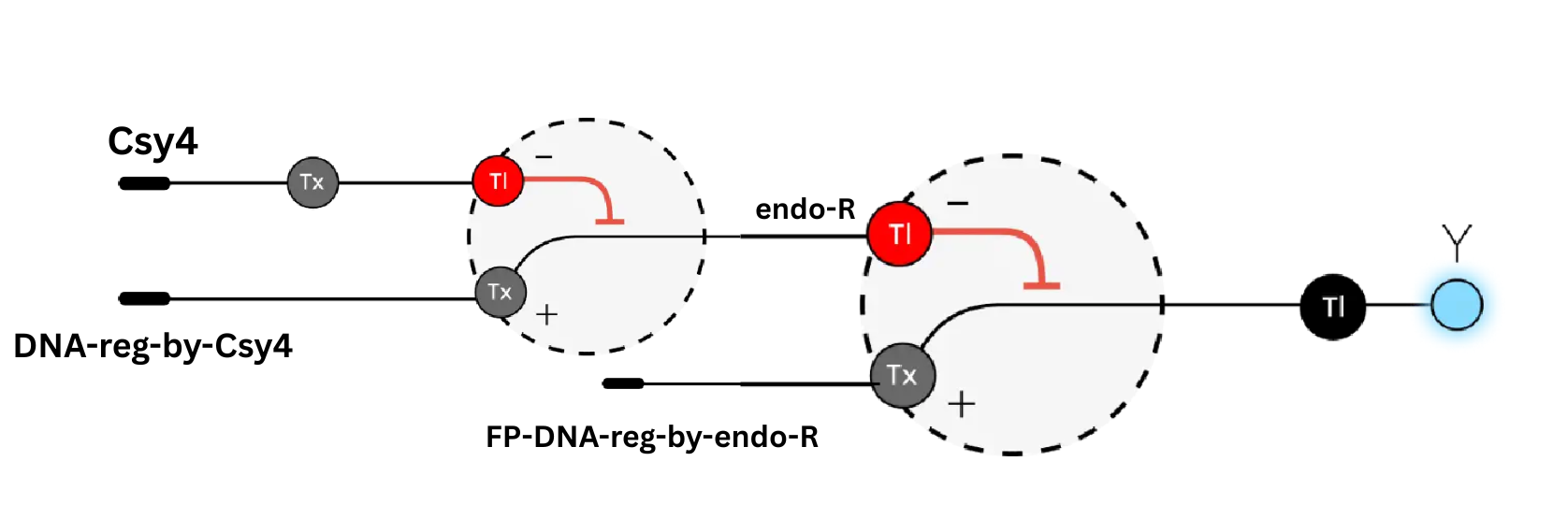 2-layer-perceptron