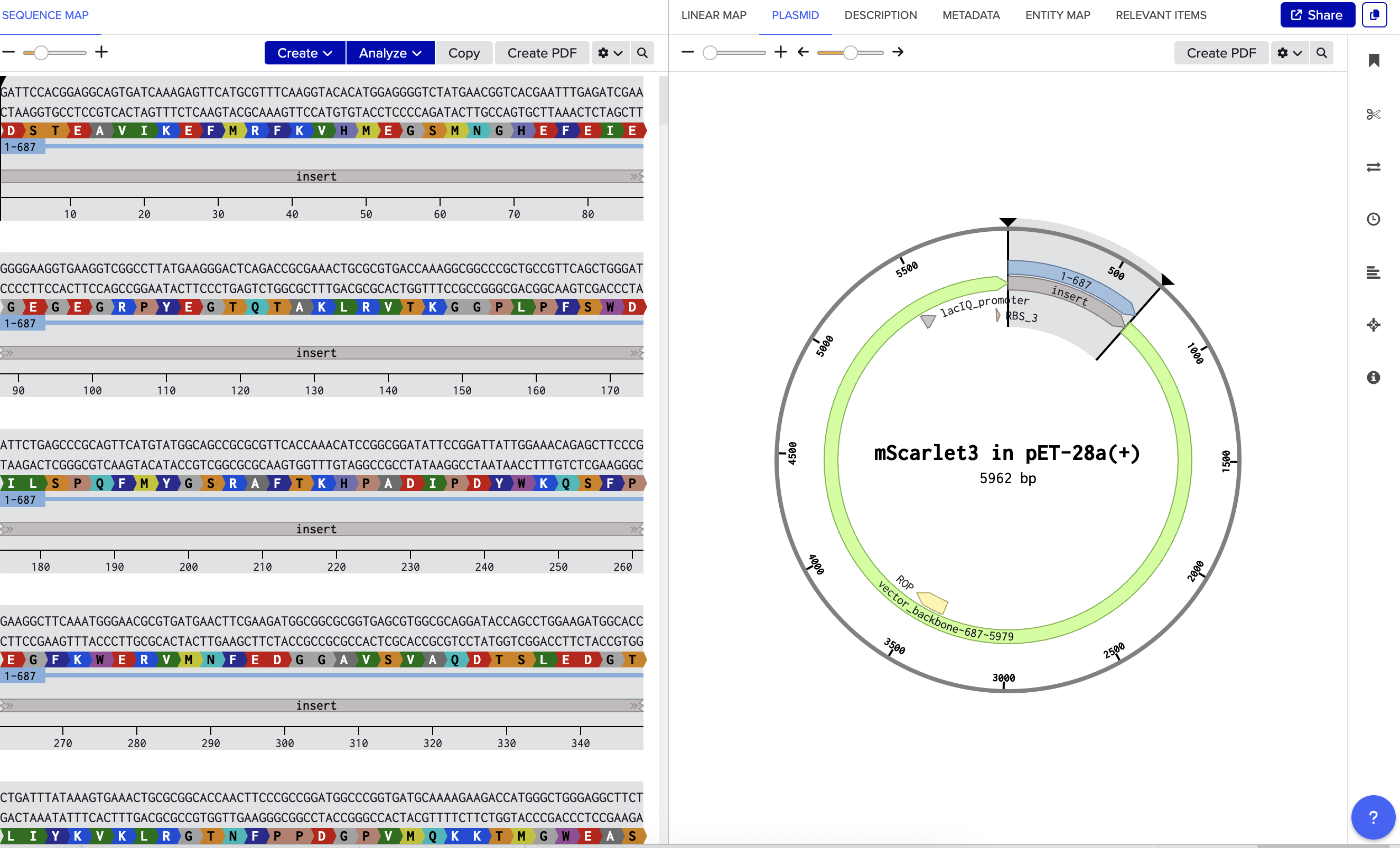 mScarlet3 in pET-28a(+) plasmid map